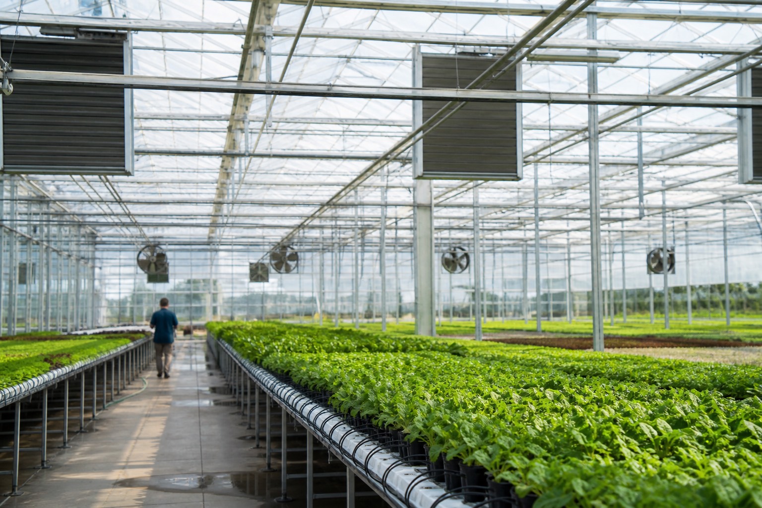 Commercial greenhouse harvest, packing, and climate operations on existing cameras